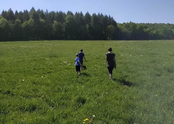 Ancien Presbytere Holiday home *