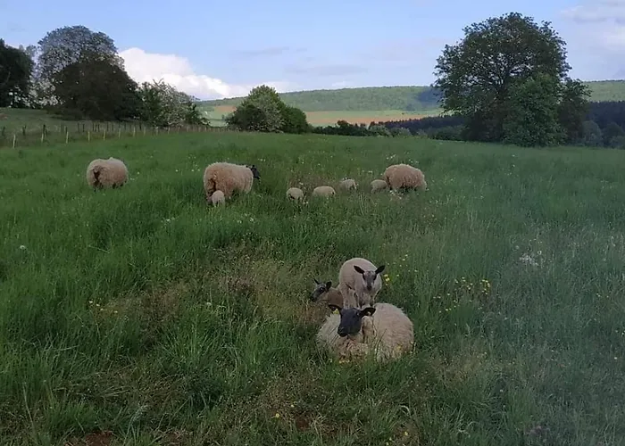 Holiday home Ancien Presbytere *